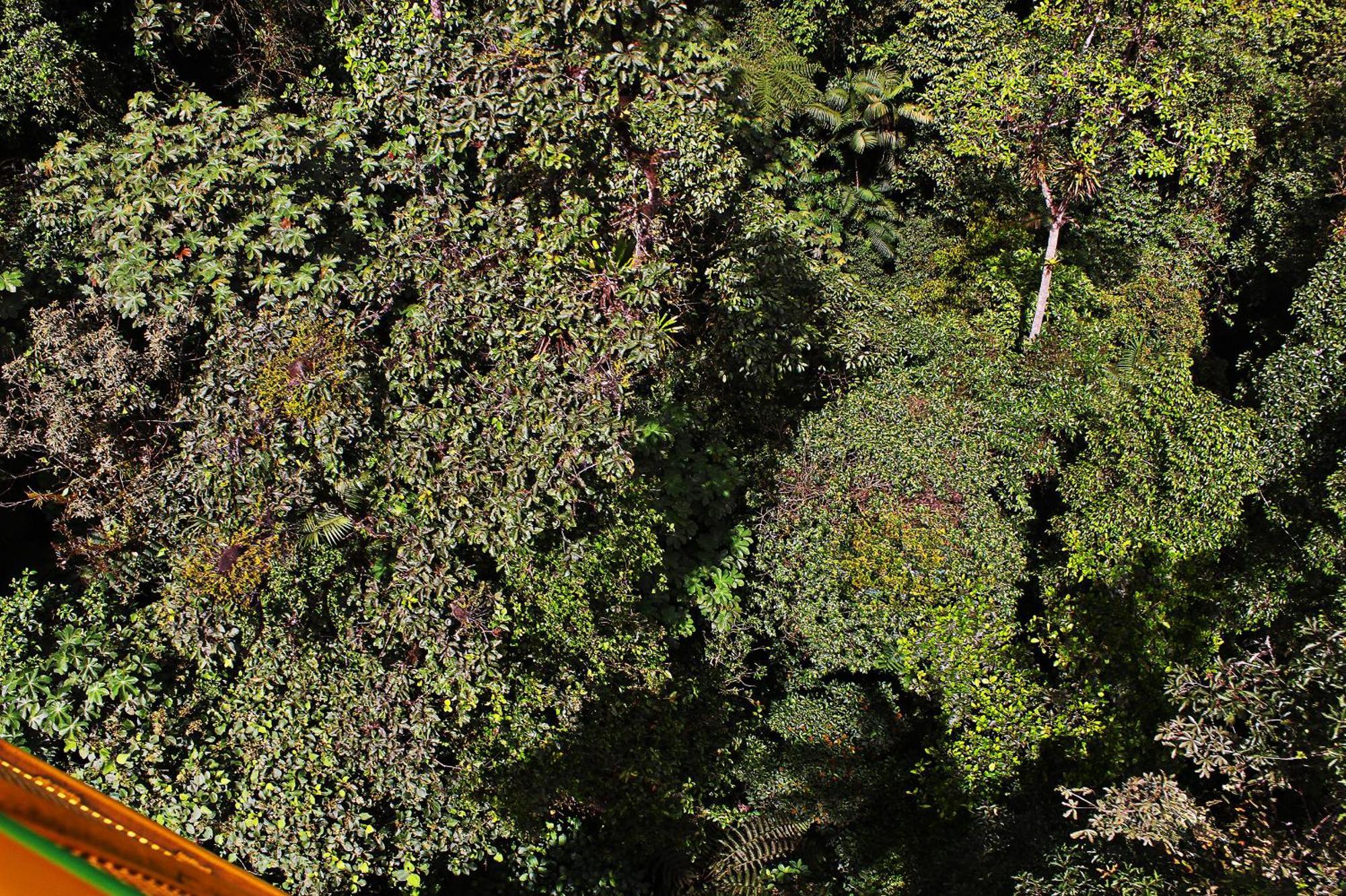 Mindo Green House Exterior photo